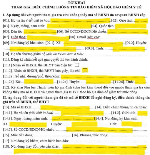 Mẫu hướng dẫn điền tờ khai TK1-TS