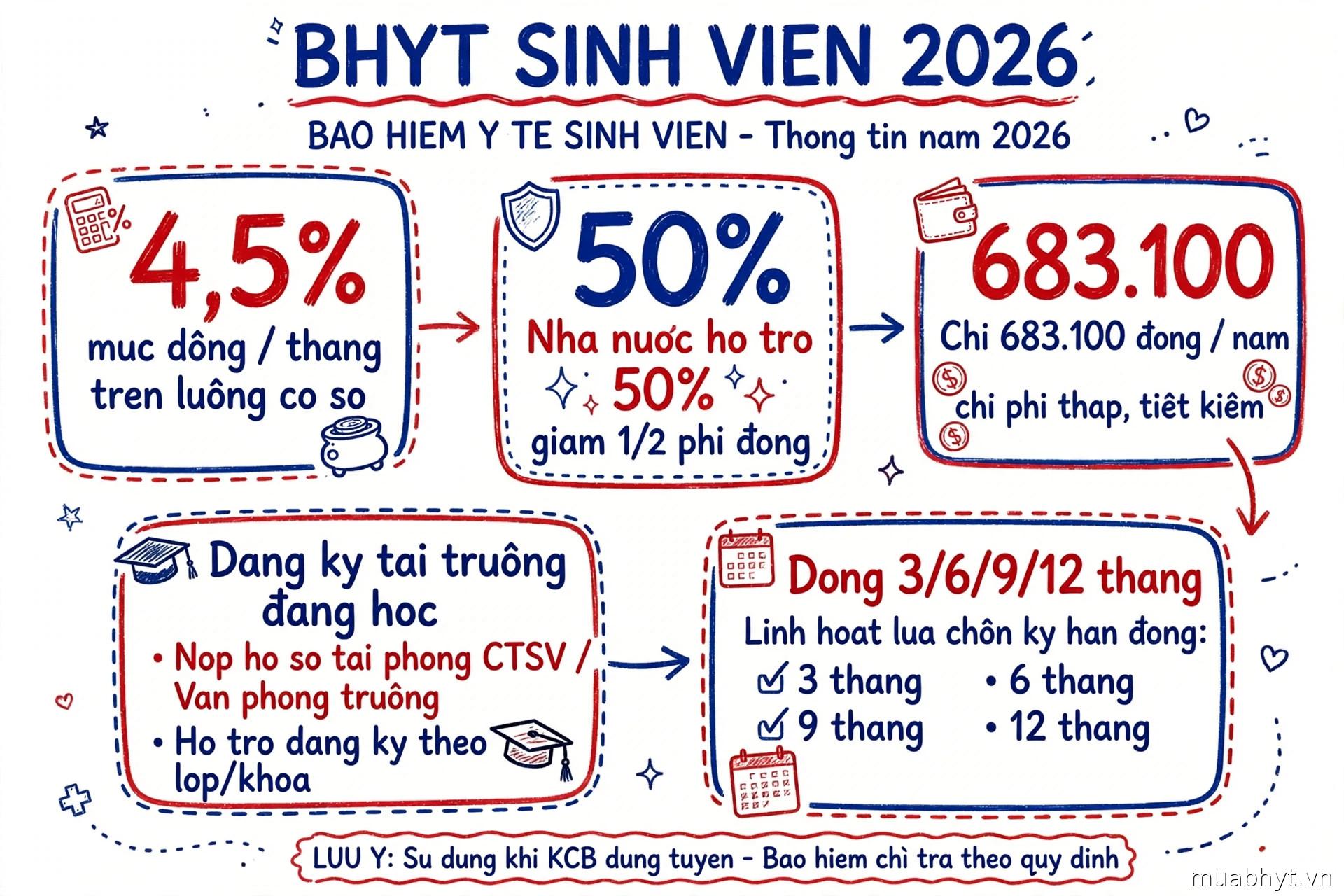 Infographic tóm tắt BHYT sinh viên 2026: mức đóng 4,5% lương cơ sở, Nhà nước hỗ trợ 50%, chỉ 683.100đ/năm, đăng ký tại trường đang học, đóng linh hoạt 3/6/9/12 tháng