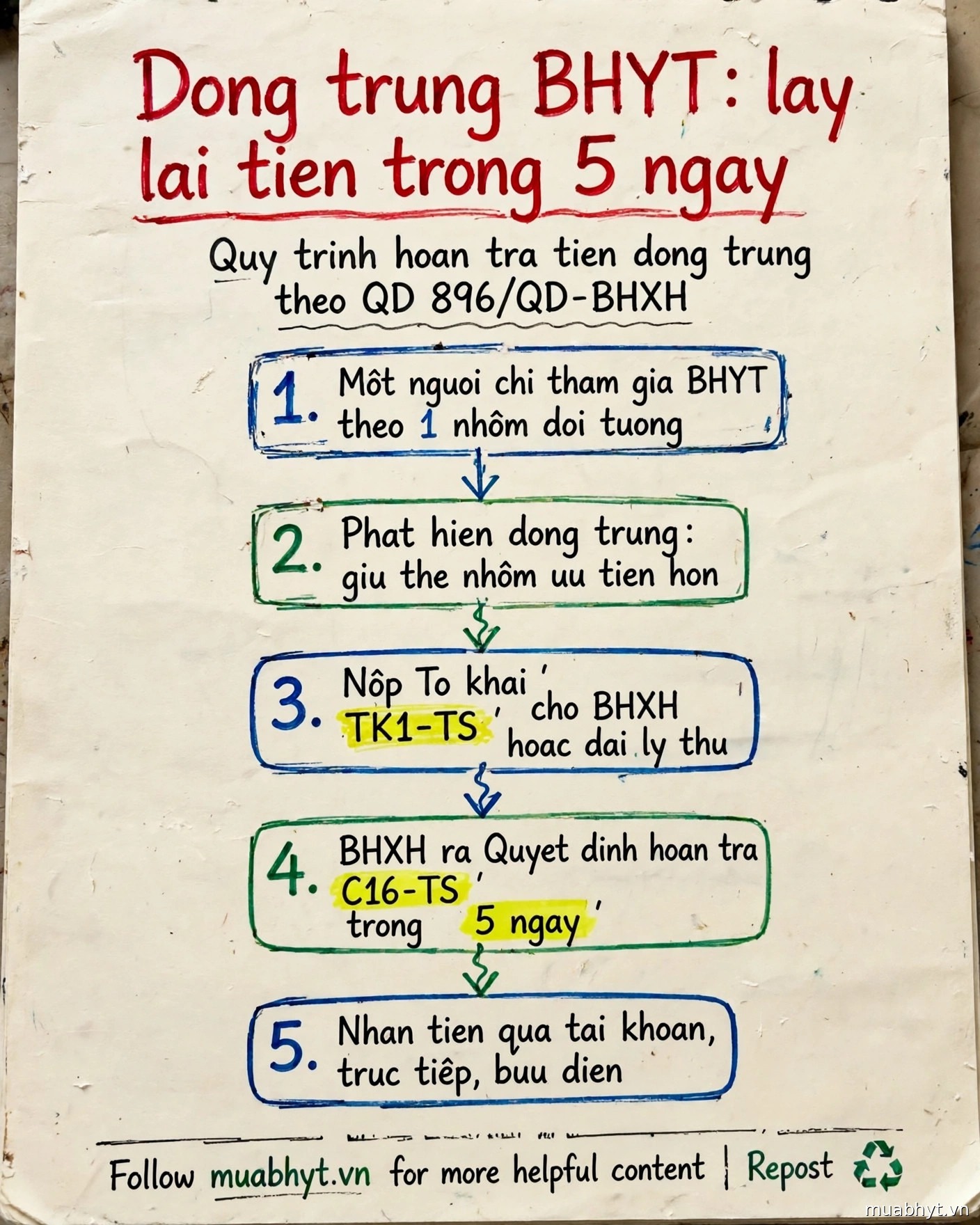 Infographic bảng trắng: 5 bước hoàn tiền đóng trùng BHYT — giữ thẻ nhóm ưu tiên, nộp tờ khai TK1-TS, nhận quyết định C16-TS trong 5 ngày